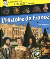 Pour les nuls présente L'Histoire de France