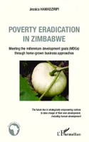 Poverty eradication in Zimbabwe, Meeting the millennium development goals (MDGs) through home-grown business approaches