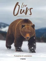 Les ours, Puissants et vulnérables
