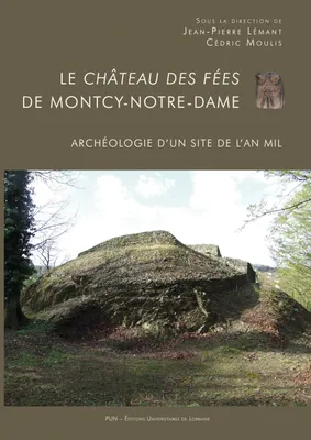 Le château des fées de Montcy-Notre-Dame, Archéologie d'un site de l'an Mil