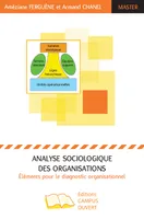 Analyse sociologique des organisations, Elements pour le diagnostic organisationnel