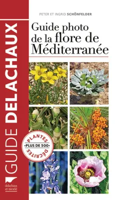 Guide photo de la flore de Méditerranée