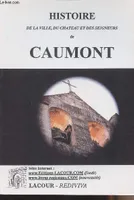 Histoire de la ville, du château et des seigneurs de Caumont - collection 