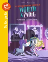 Les aventures hyper trop fabuleuses de Violette & Zadig, 3, Les aventures hyper trop fabuleuses de Violette et Zadig, Tome 03, Panique au chateau !