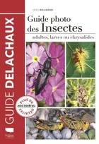 Guide photo des insectes, [adultes, larves ou chrysalides]