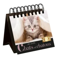 Chats et chatons / 365 jours