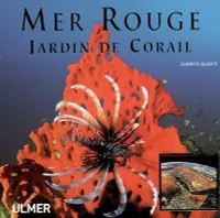 MER ROUGE - JARDIN DE CORAIL, jardin de corail