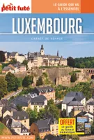 Guide Luxembourg 2019 Carnet Petit Futé