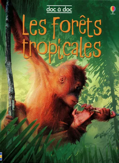 LES FORETS TROPICALES Lucy Beckett-Bowman