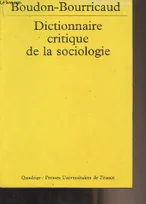 Dict. critique de la sociologie n303