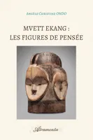 Mvett Ekang : Les figures de pensée