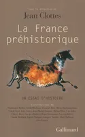 La France préhistorique, Un essai d'histoire