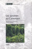 Les Ignames au Cameroun