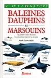 Baleines dauphins et marsouins