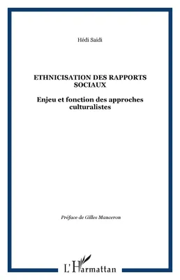 Ethnicisation des rapports sociaux, Enjeu et fonction des approches culturalistes