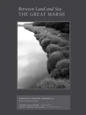 Between Land and Sea : The Great Marsh, Photographs by Dorothy Kerper Monnelly /anglais