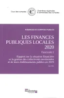 Les finances publiques locales 2020, Rapport sur la situation financière et la gestion des collectivités territoria