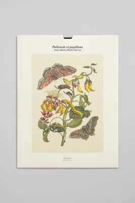 Tirage - Palissade et papillons - Édition illustrée