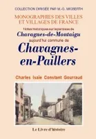 Notes historiques sur la paroisse de Chavagnes-de-Montaigu aujourd'hui commune de Chavagnes-en-Paillers