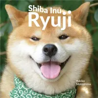 Shiba Inu Ryuji /anglais