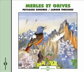MERLES ET GRIVES PAYSAGES SONORES