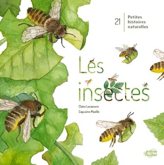 Les insectes, 21 petites histoires naturelles