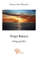 Projet Bakara, L'Ange gardien