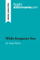 Wide Sargasso Sea by Jean Rhys (Book Analysis), Detailed Summary, Analysis and Reading Guide