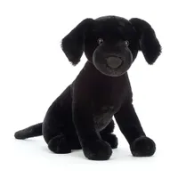 Pippa Labrador noir