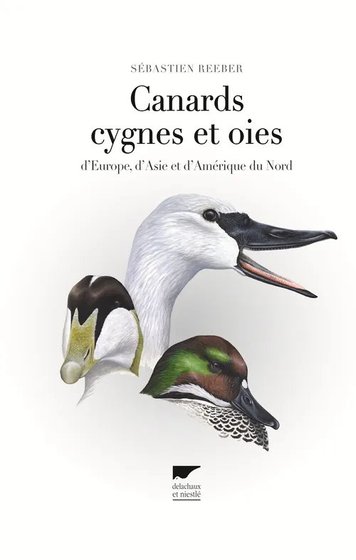Livres Écologie et nature Nature Faune Canards, cygnes et oies, d'Europe, d'Asie et d'Amérique du Nord Sébastien Reeber
