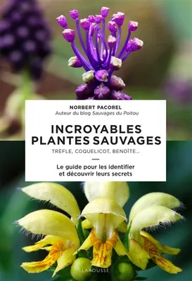 Incroyables plantes sauvages, Trèfle, coquelicot, benoîte
