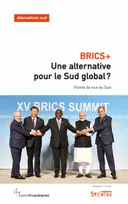 BRICS+ : une alternative pour le Sud global ?, Points de vue du Sud