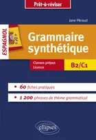 Grammaire synthétique de l’espagnol en 60 fiches pratiques.