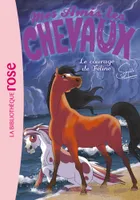 23, Mes amis les chevaux / Le courage de Féline / Ma première bibliothèque rose