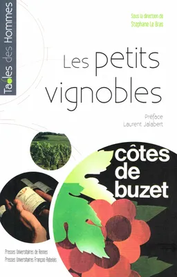 Les petits vignobles en France, Des territoires en questions