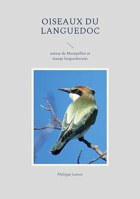 Oiseaux du Languedoc, autour de Montpellier et étangs languedociens