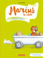Marius le chat, 1, Drôles d'idées !, 4 drôles d'histoires à lire tout seul