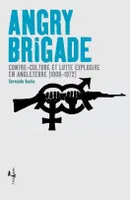 Angry Brigade, Contre-culture et lutte explosive en Angleterre (1968-1972)