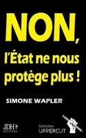 Non, l'État ne nous protège plus !, Un pamphlet qui dit la vérité au Français