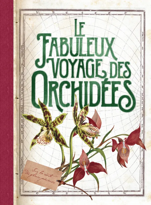 Livres Écologie et nature Nature Jardinage Le fabuleux voyage des orchidées Françoise Lecoufle, Valérie Garnaud, Philippe Lecoufle, Nathalie Cousin