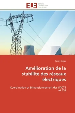 Amélioration de la stabilité des réseaux électriques, Coordination et Dimensionnement des FACTS et PSS
