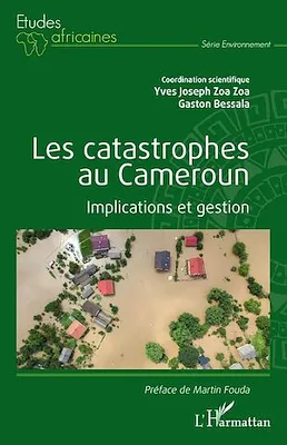 Les catastrophes au Cameroun, Implications et gestion