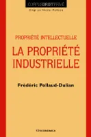 La propriété industrielle - propriété intellectuelle, propriété intellectuelle