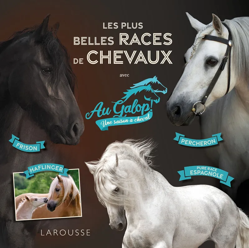 Au galop - Les plus belles races de chevaux Béatrix Lot