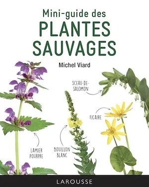 Mini-guide des plantes sauvages