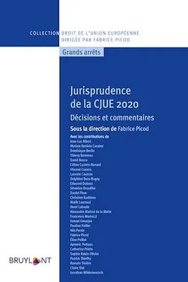 Jurisprudence de la CJUE 2020, Décisions et commentaires