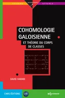 Cohomologie galoisienne, Et théorie du corps de classes