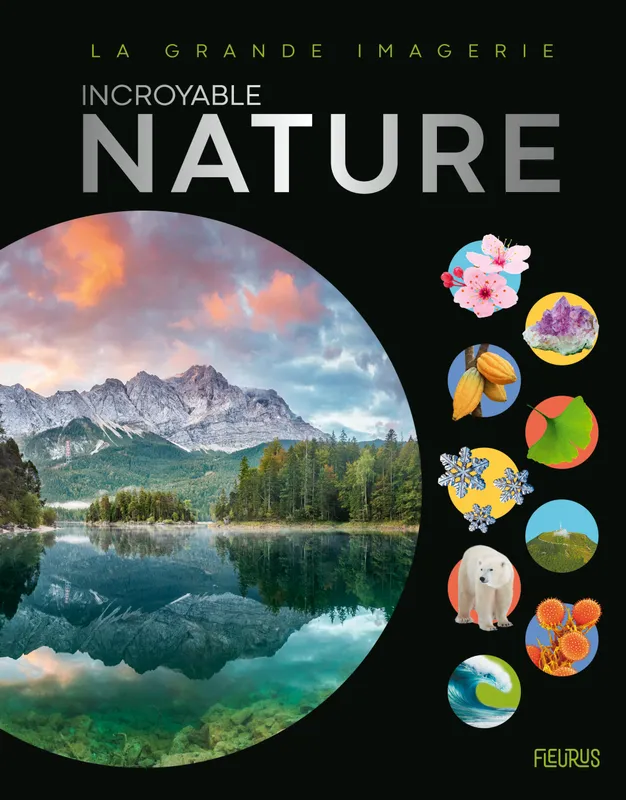 Livres Jeunesse de 6 à 12 ans Documentaires Nature et environnement Incroyable Nature Collectif