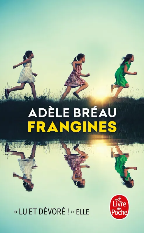 Livres Littérature et Essais littéraires Romans contemporains Francophones Frangines Adèle Bréau