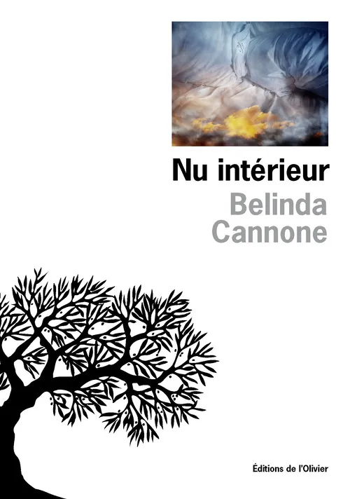 Livres Littérature et Essais littéraires Romans contemporains Francophones Nu intérieur Belinda Cannone